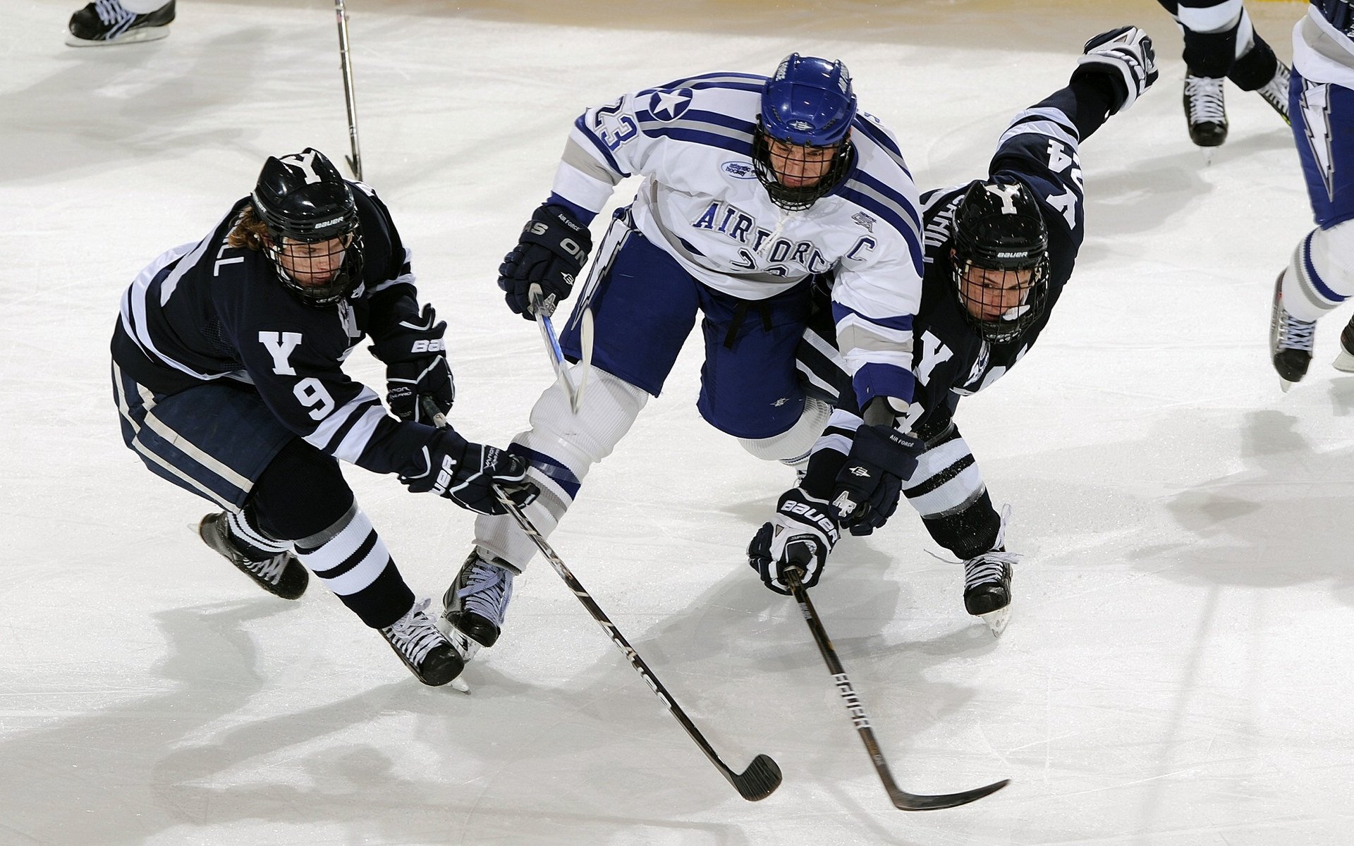 逆境中成长的冠军：迈克尔的故事，m迈克尔